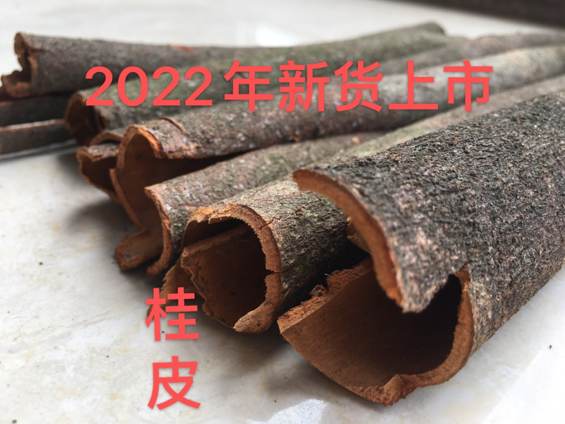 广东农副产品统筒干桂皮老树桶桂皮卤水调味香料德庆产地