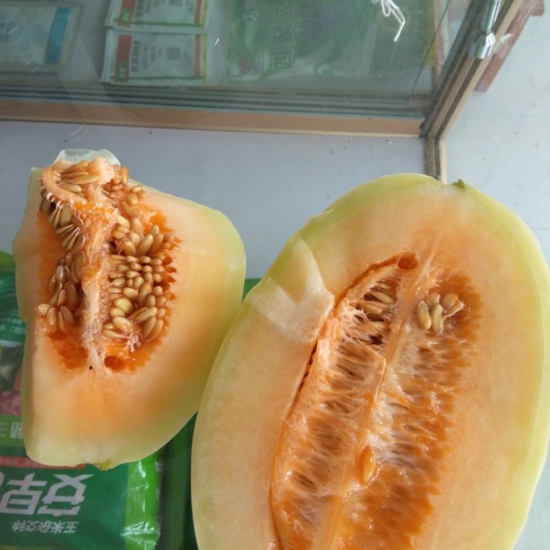 东方蜜甜瓜，鲜瓜，1.5斤以上，红肉脆甜，产地直销