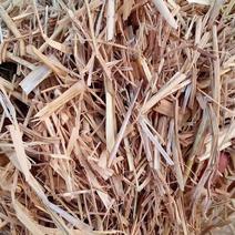 柔丝小麦秸秆适用于养殖场牛羊鸭子鹅马驴饲料厂加工