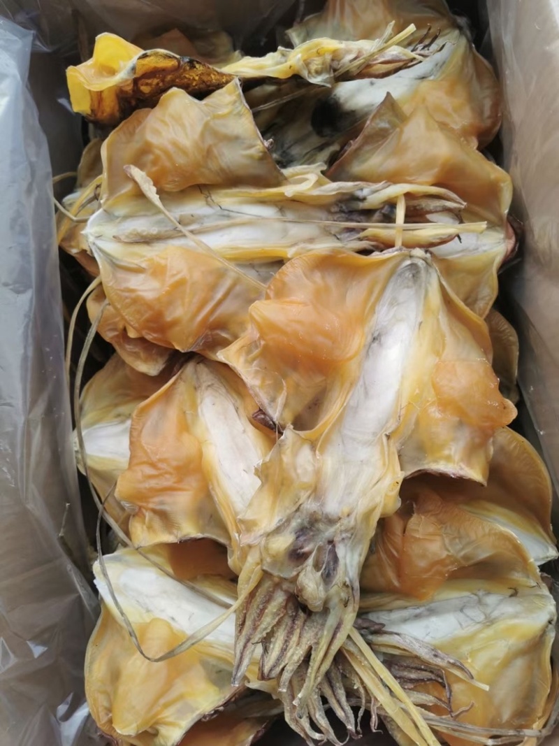 【推荐】穿竹墨鱼干淡盐干度足厂家直供新货出炉整箱批发