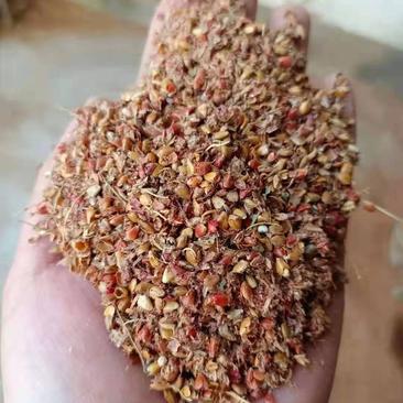 内蒙高粱壳糠，含碎粮，烘干过夏，干净无土，性价比高