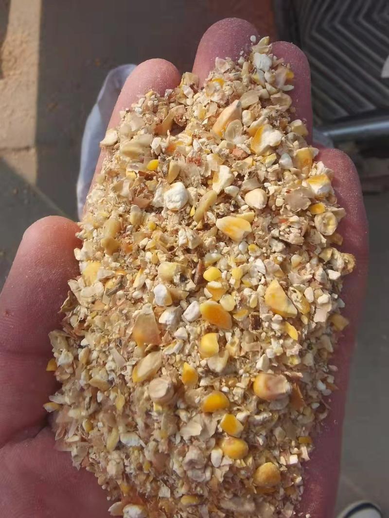 东北烘干碎玉米，含粮率九个，无杂质，无沙土无霉变