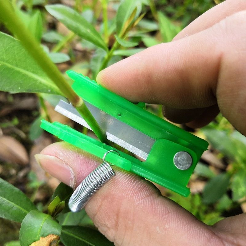 手指采摘器拇指刀园艺小铡刀戒指刀摘菜神器掐须打尖工具打岔