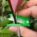 手指采摘器拇指刀园艺小铡刀戒指刀摘菜神器掐须打尖工具打岔