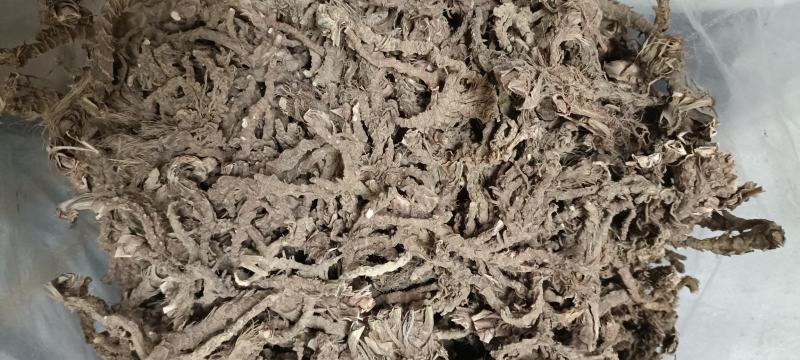 重庆地产中药材石菖蒲大统货，毛须少，根头大，无硫，无霉变