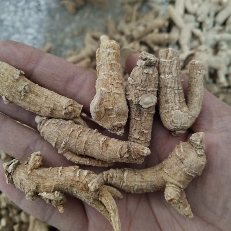 西洋参原枞粒头500克花旗参参片参粒参腿泡水煮汤山东参