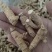 西洋参原枞粒头500克花旗参参片参粒参腿泡水煮汤山东参