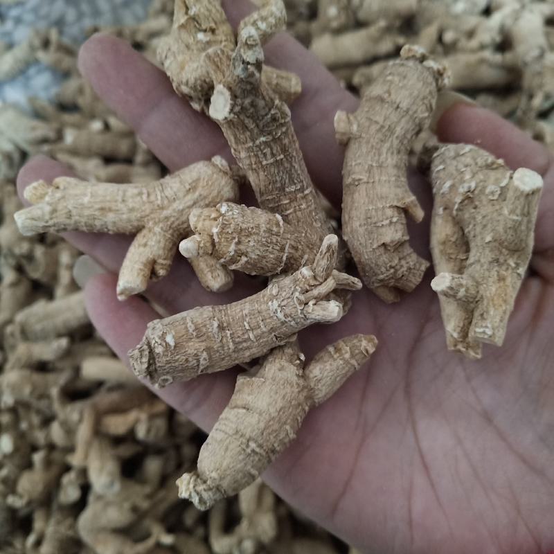 西洋参原枞粒头500克花旗参参片参粒参腿泡水煮汤山东参