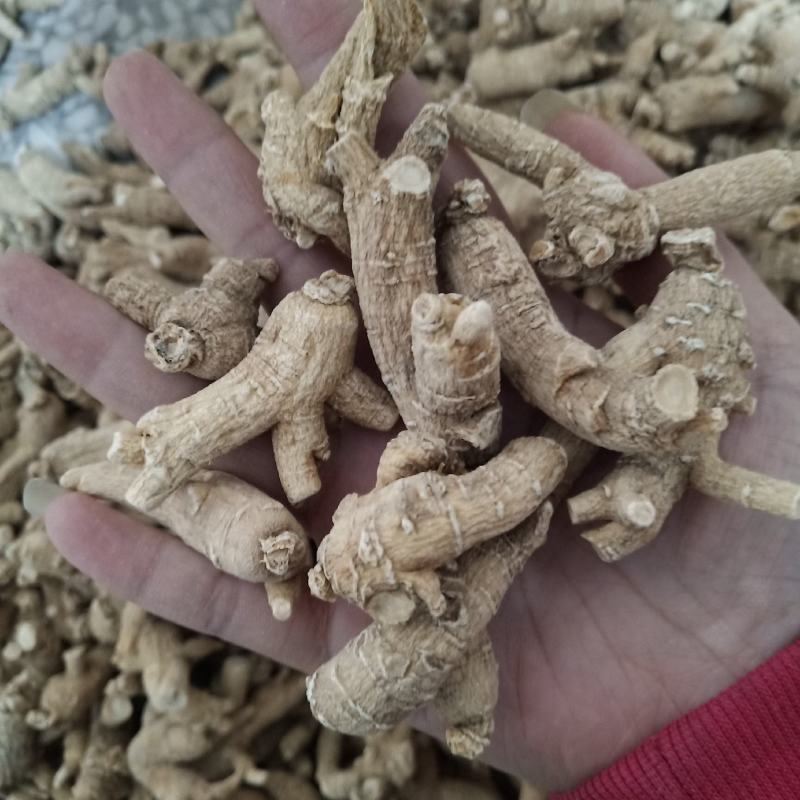 西洋参原枞粒头500克花旗参参片参粒参腿泡水煮汤山东参