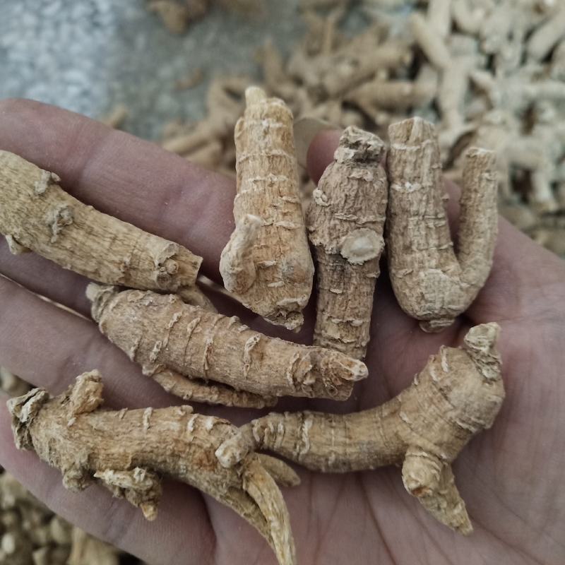 西洋参原枞粒头500克花旗参参片参粒参腿泡水煮汤山东参