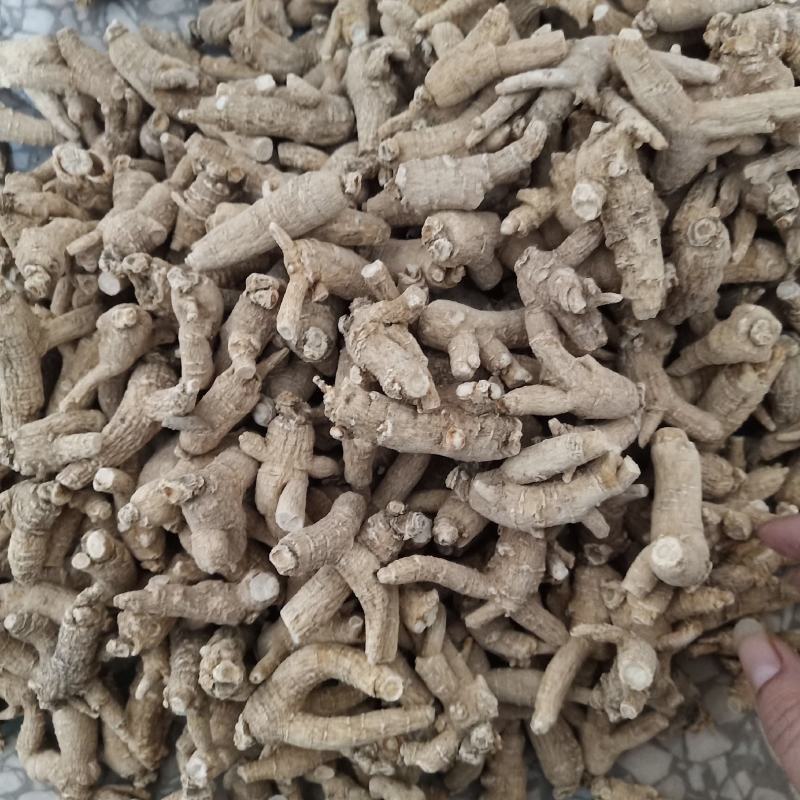 西洋参原枞粒头500克花旗参参片参粒参腿泡水煮汤山东参