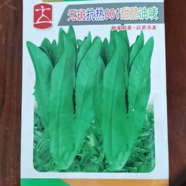 无斑抗热甜脆油麦菜种子