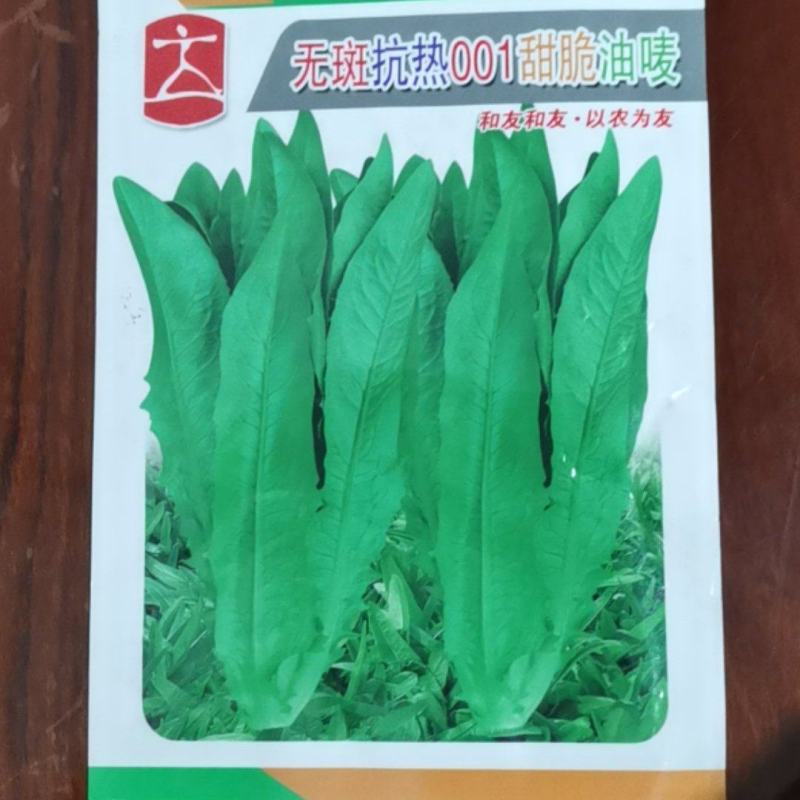 无斑抗热甜脆油麦菜种子