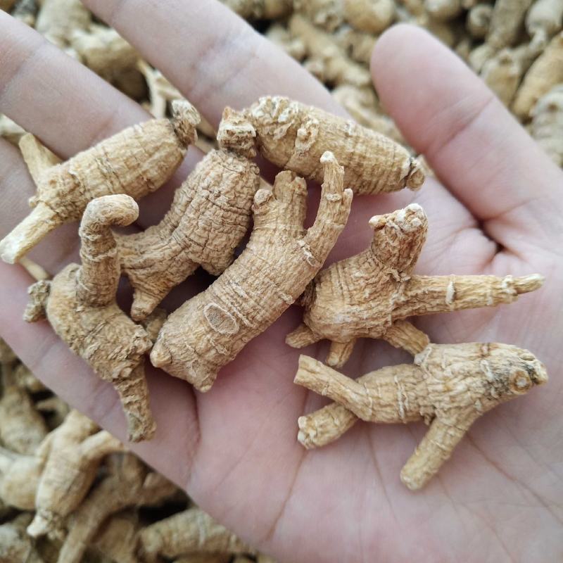 西洋参原枞粒头500克花旗参参片参粒参腿泡水煮汤山东参