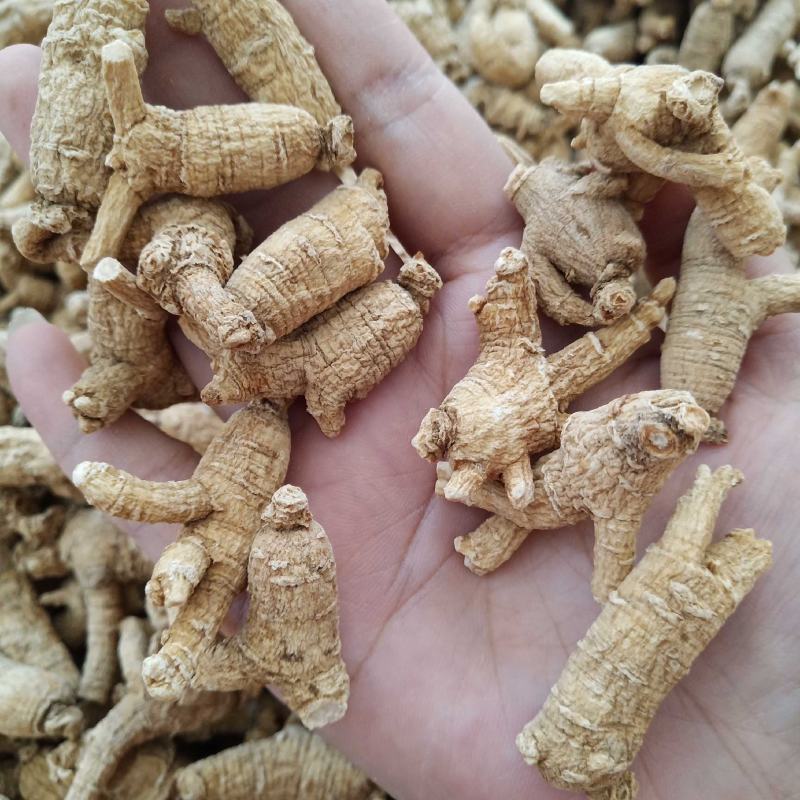 西洋参原枞粒头500克花旗参参片参粒参腿泡水煮汤山东参