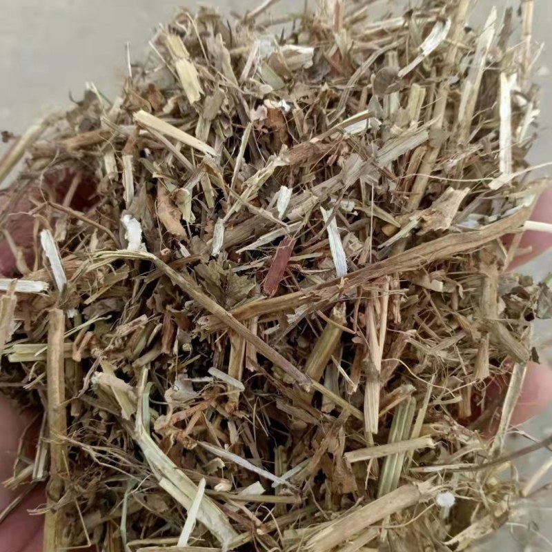 优质花生秧无沙土无霉变营养物质丰富粗蛋白质含量高量大从优
