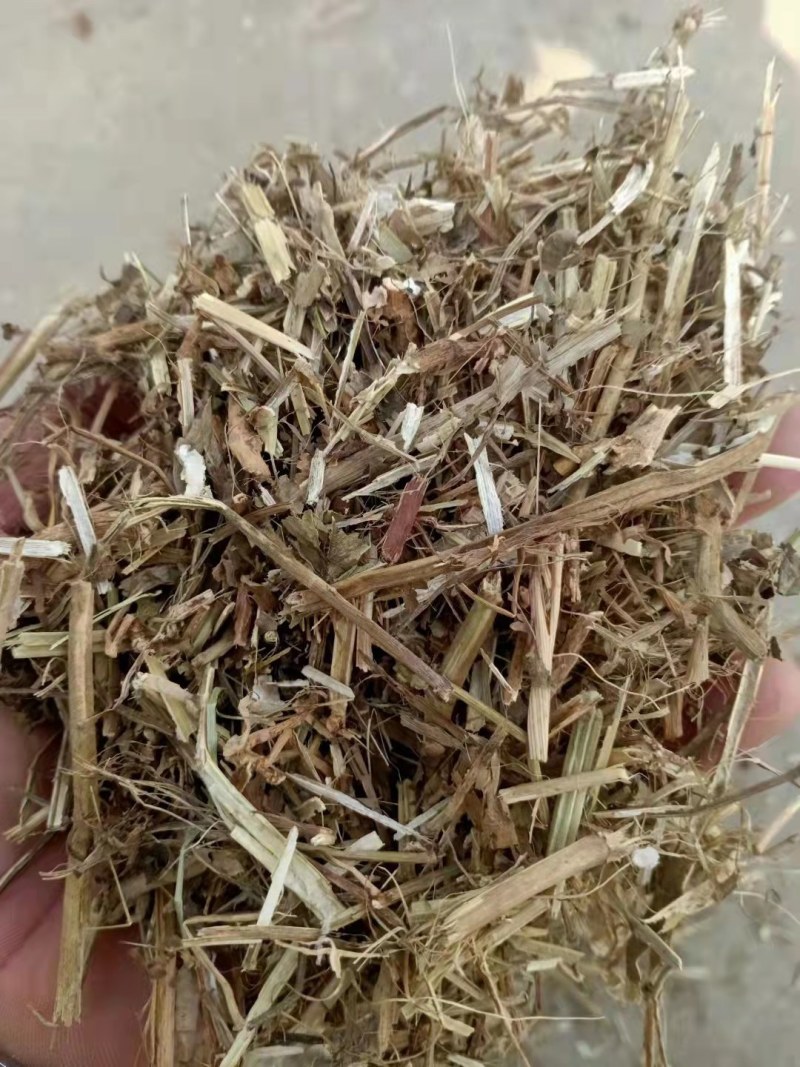 优质花生秧无沙土无霉变营养物质丰富粗蛋白质含量高量大从优