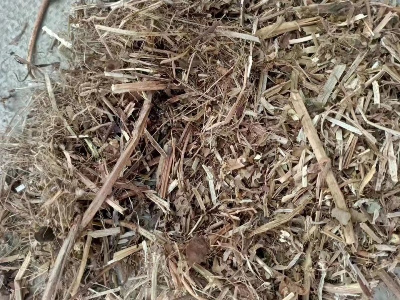 优质花生秧无沙土无霉变营养物质丰富粗蛋白质含量高量大从优