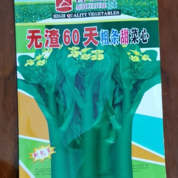 广东无渣60天粗条甜菜心种子400克