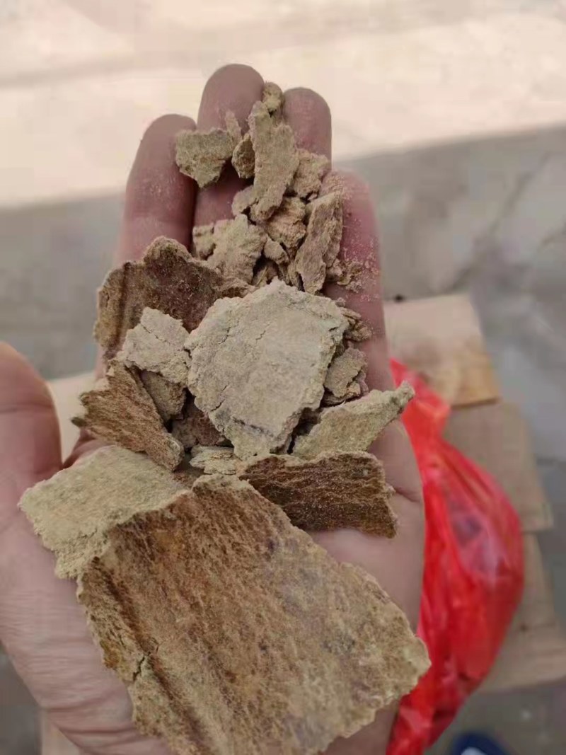 优质南瓜饼蛋白12个左右脂肪6灰分5厂家一手货源欢迎来电