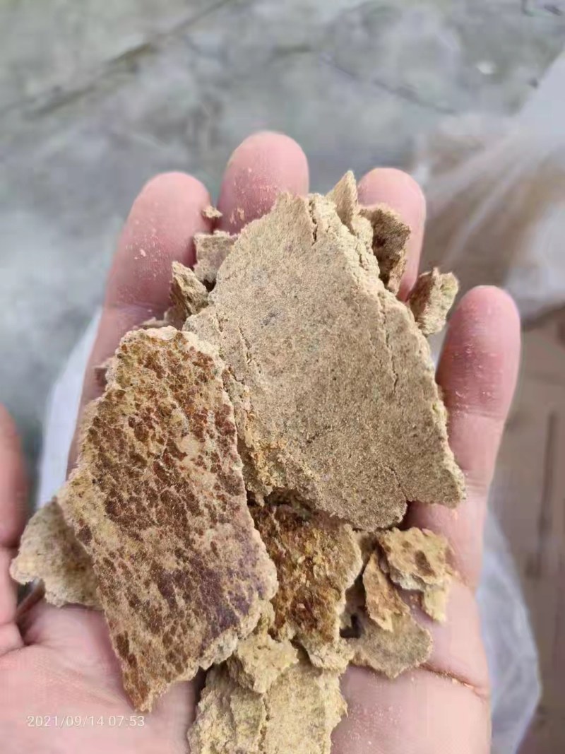 优质南瓜饼蛋白12个左右脂肪6灰分5厂家一手货源欢迎来电