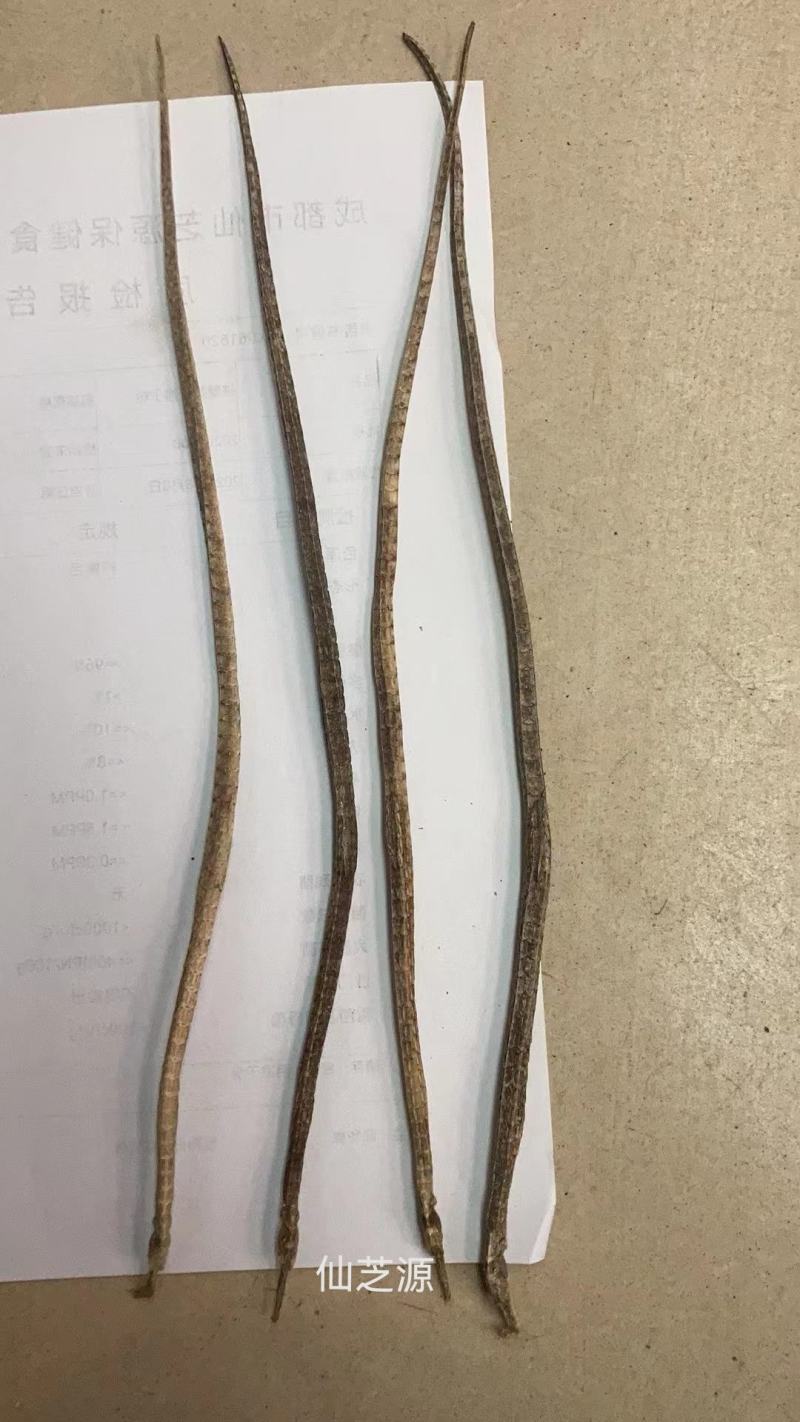 白芍中药材，生白芍片产地大量供应，免费打粉，量大从优