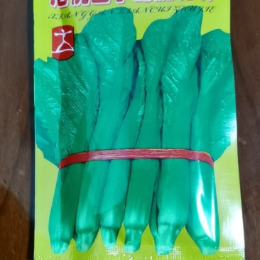 港优四季甜脆竹芥菜种子
