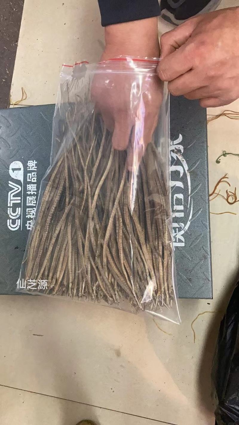 白朮中药材，产地大量供应手工精选白术片，无熏硫初加工
