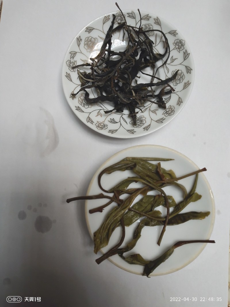 雲极岚荘普洱生态茶绿茶红茶碧螺春大树茶古树茶