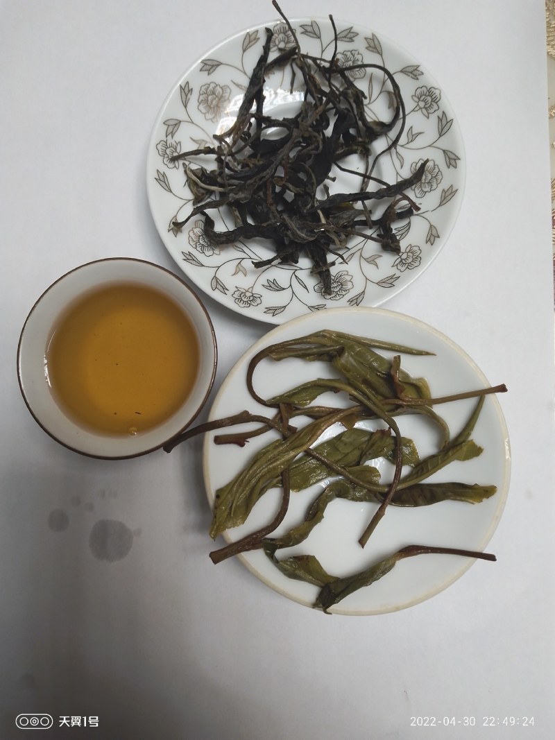 雲极岚荘普洱生态茶绿茶红茶碧螺春大树茶古树茶