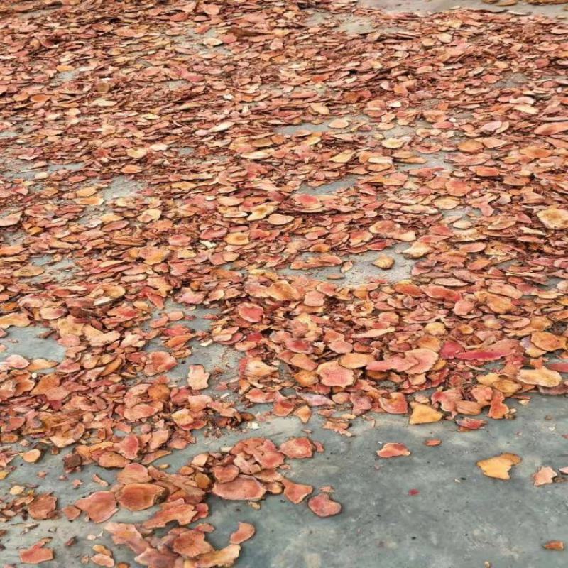 土茯苓统货产地湖南500g中药材批发规格齐全
