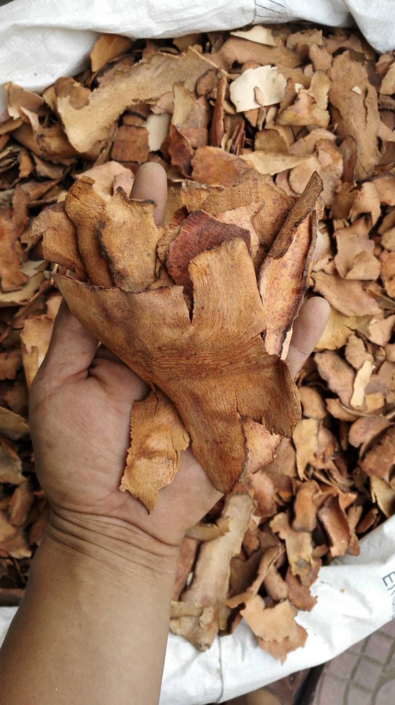 土茯苓统货产地湖南500g中药材批发规格齐全