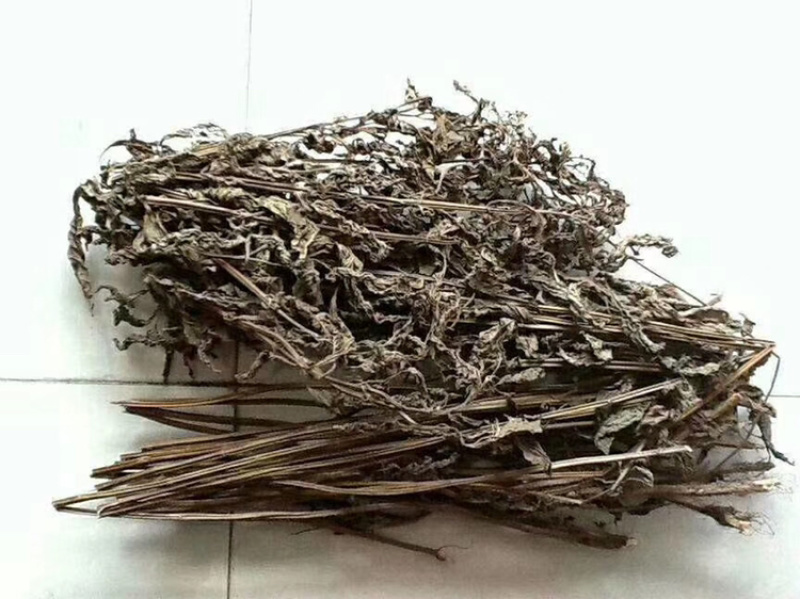 农家新鲜自然晒干溪黄草五斤装起发