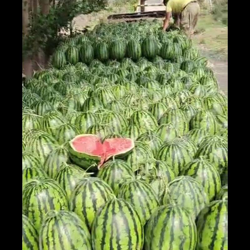 吉林安广西瓜大量上市，发货质量出现问题，全额退款，