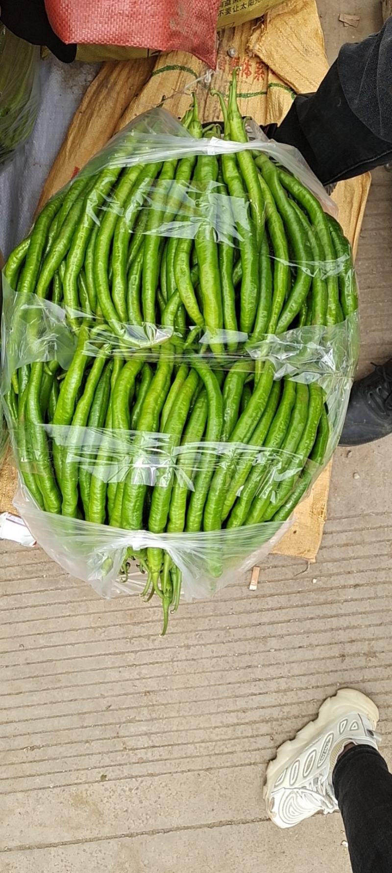 云南蔬菜，大量供应
