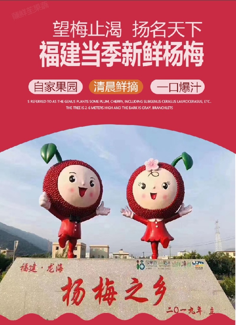 特甜杨梅新鲜水果东魁大杨梅现摘现发水果云南福建仙居杨梅
