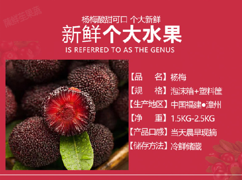 特甜杨梅新鲜水果东魁大杨梅现摘现发水果云南福建仙居杨梅