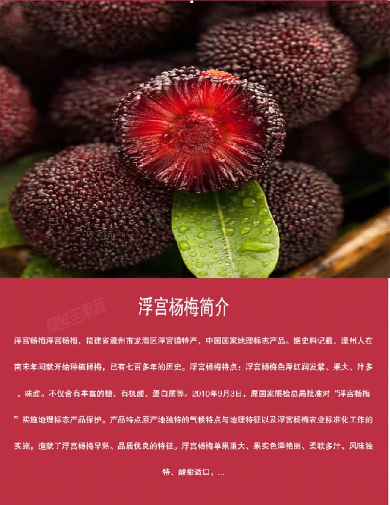 特甜杨梅新鲜水果东魁大杨梅现摘现发水果云南福建仙居杨梅