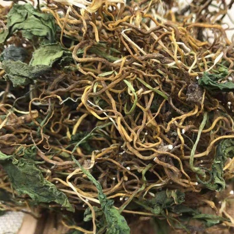 野生黑灵芝
