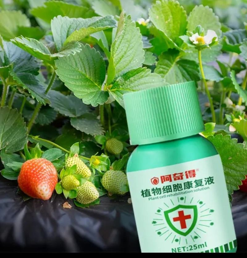 绿迎链态生物酶解素非农药叶面肥草莓豆角辣椒促花保果膨果