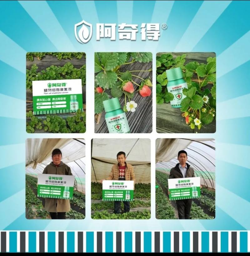 绿迎链态生物酶解素非农药叶面肥草莓豆角辣椒促花保果膨果