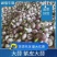 淮阳脱水蒜蒜米料发市场大混迹大量上市品质保证