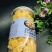 大兴安岭百草【秋梨膏】品种纯正假一赔十欢迎咨询