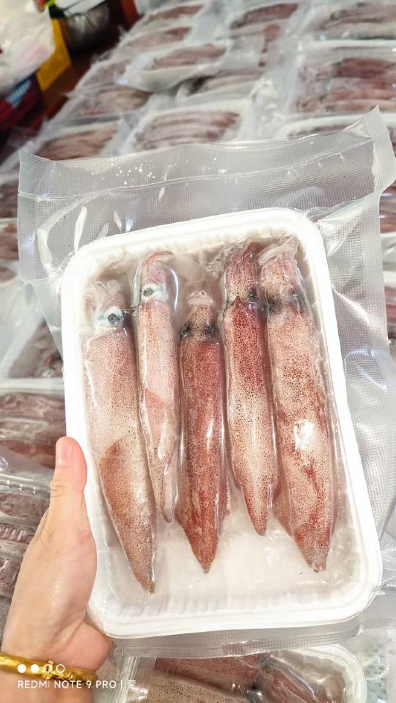 【推荐】广西北部湾新鲜钓鱿，肉质鲜美，品质保证，诚信经营