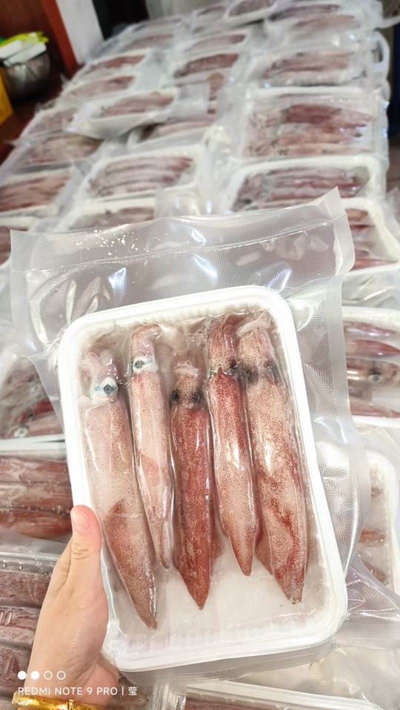 【推荐】广西北部湾新鲜钓鱿，肉质鲜美，品质保证，诚信经营