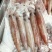 【推荐】广西北部湾新鲜钓鱿，肉质鲜美，品质保证，诚信经营