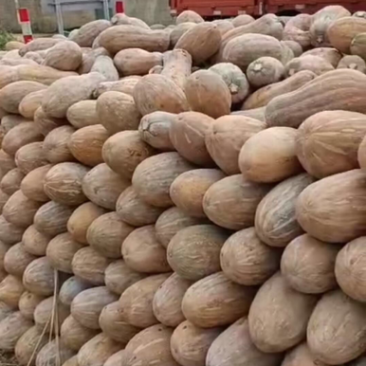 蔬菜瓜果