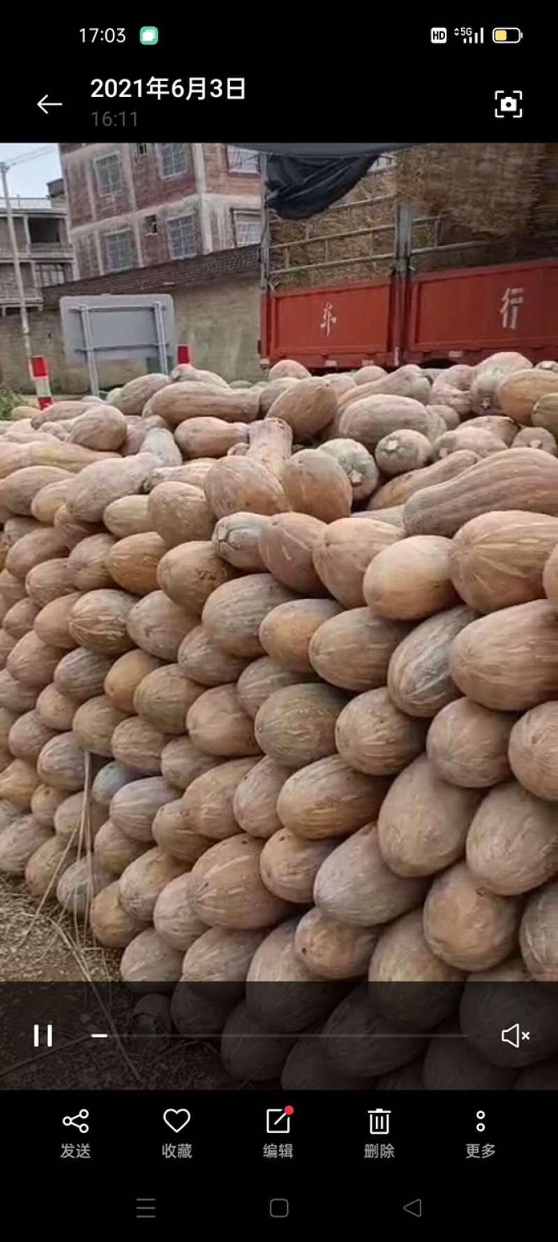 蔬菜瓜果