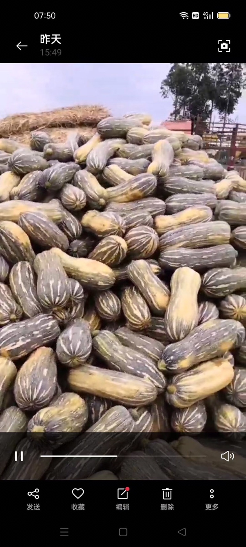 蔬菜瓜果