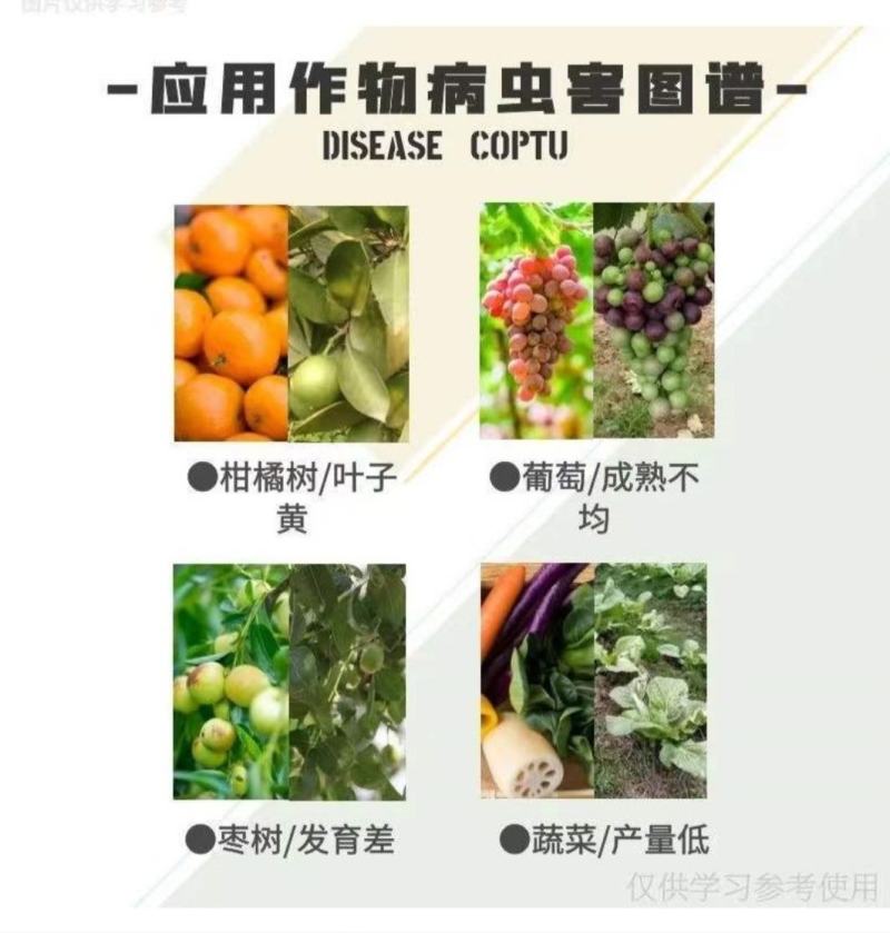 481硕丰14-羟基芸苔素甾醇解药害保花保果调节剂